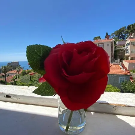 Happy Sea View Apartment Dubrovnik
